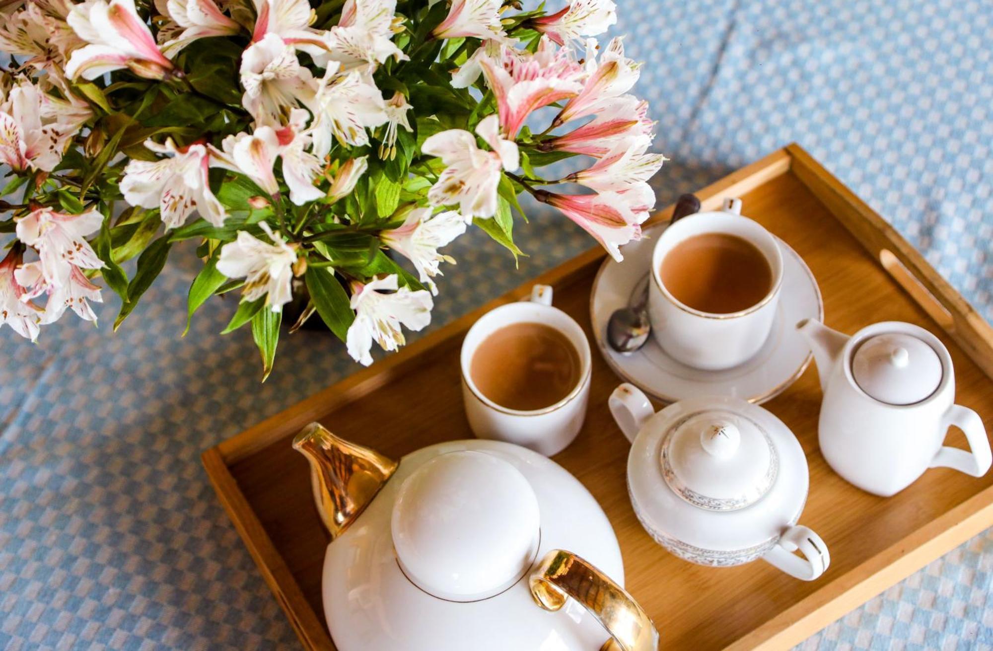 Villa Acacia 누와라 엘리야 외부 사진
